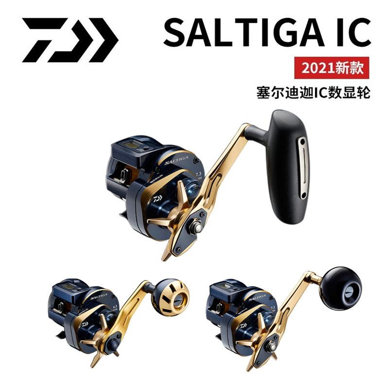 21 Japanese DAIWA Daiwa SALTIG - огляд і ціна Baitcasting Reel